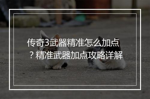 传奇3武器精准怎么加点？精准武器加点攻略详解