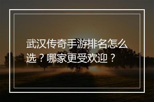 武汉传奇手游排名怎么选？哪家更受欢迎？