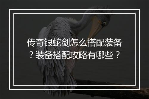 传奇银蛇剑怎么搭配装备？装备搭配攻略有哪些？
