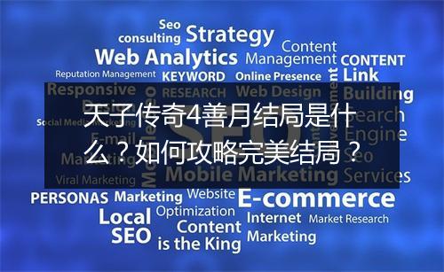 天子传奇4善月结局是什么？如何攻略完美结局？