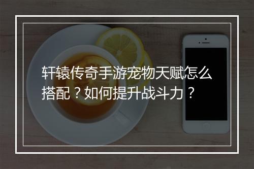 轩辕传奇手游宠物天赋怎么搭配？如何提升战斗力？