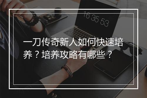 一刀传奇新人如何快速培养？培养攻略有哪些？