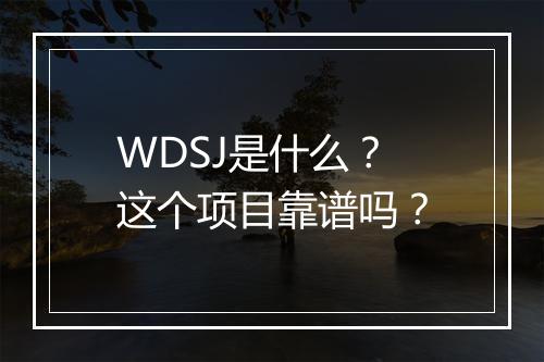 WDSJ是什么？这个项目靠谱吗？