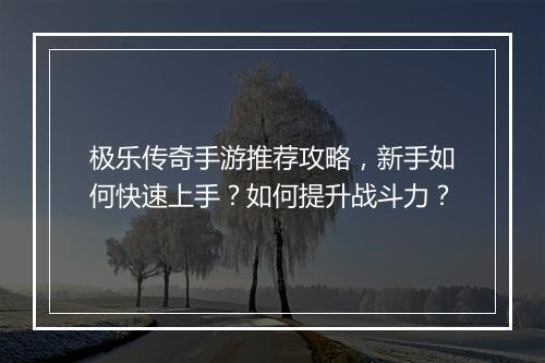 极乐传奇手游推荐攻略，新手如何快速上手？如何提升战斗力？