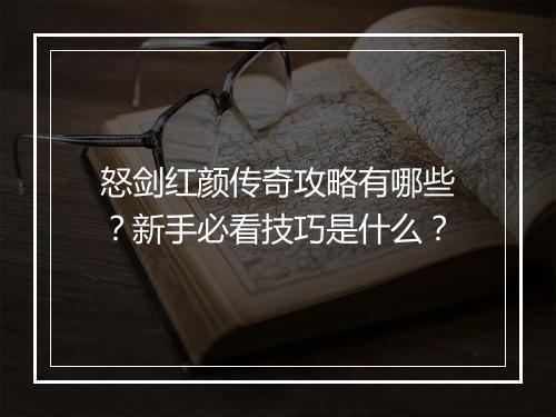 怒剑红颜传奇攻略有哪些？新手必看技巧是什么？