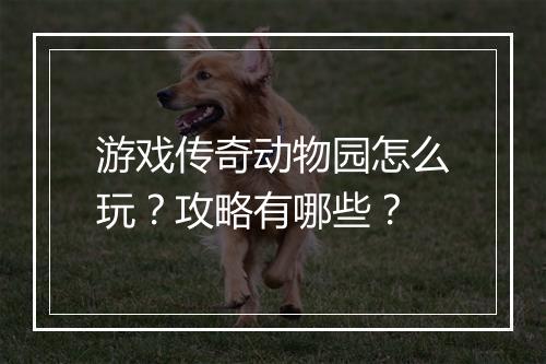 游戏传奇动物园怎么玩？攻略有哪些？