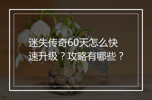 迷失传奇60天怎么快速升级？攻略有哪些？