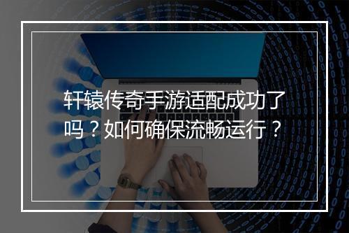 轩辕传奇手游适配成功了吗？如何确保流畅运行？