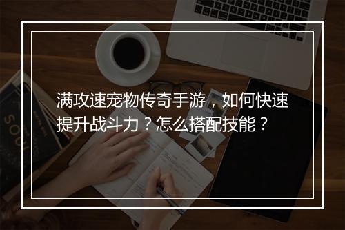 满攻速宠物传奇手游，如何快速提升战斗力？怎么搭配技能？