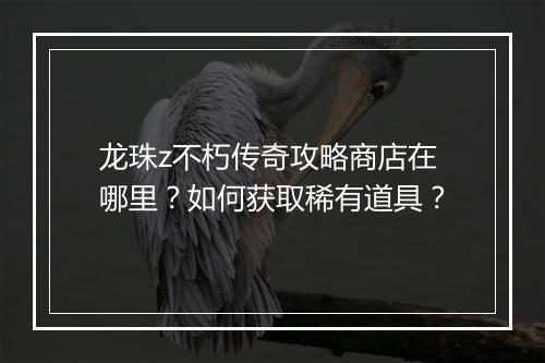 龙珠z不朽传奇攻略商店在哪里？如何获取稀有道具？