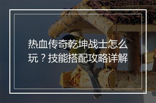 热血传奇乾坤战士怎么玩？技能搭配攻略详解
