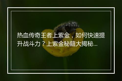 热血传奇王者上紫金，如何快速提升战斗力？上紫金秘籍大揭秘！