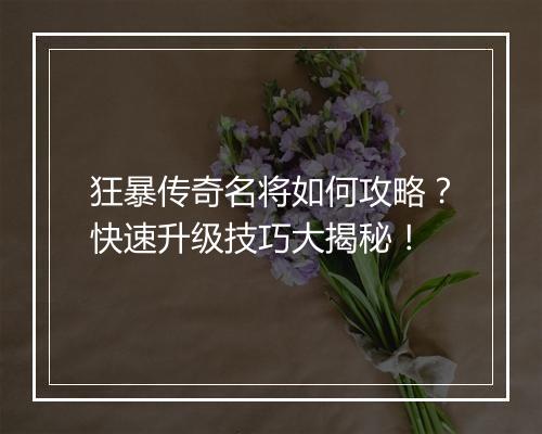 狂暴传奇名将如何攻略？快速升级技巧大揭秘！