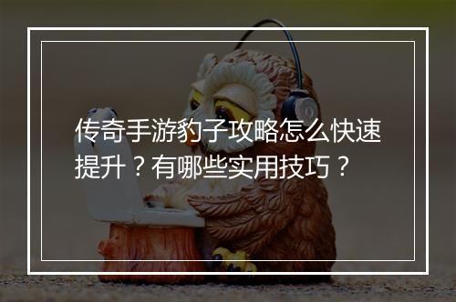 传奇手游豹子攻略怎么快速提升？有哪些实用技巧？