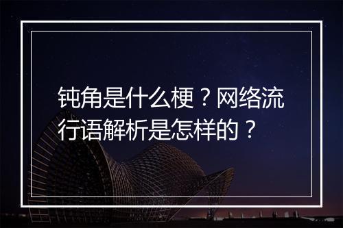 钝角是什么梗？网络流行语解析是怎样的？