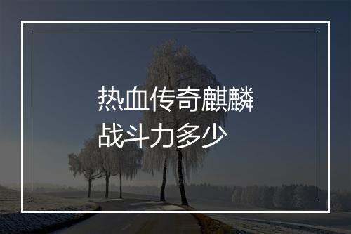 热血传奇麒麟战斗力多少