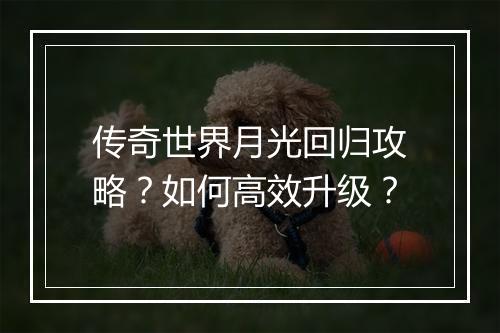传奇世界月光回归攻略？如何高效升级？