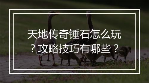 天地传奇锤石怎么玩？攻略技巧有哪些？