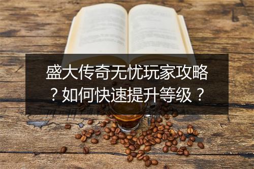 盛大传奇无忧玩家攻略？如何快速提升等级？