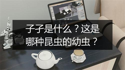 子孑是什么？这是哪种昆虫的幼虫？