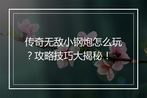 传奇无敌小钢炮怎么玩？攻略技巧大揭秘！