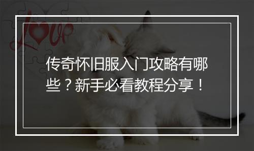 传奇怀旧服入门攻略有哪些？新手必看教程分享！