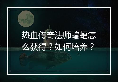 热血传奇法师蝙蝠怎么获得？如何培养？