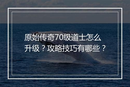 原始传奇70级道士怎么升级？攻略技巧有哪些？