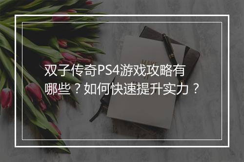 双子传奇PS4游戏攻略有哪些？如何快速提升实力？