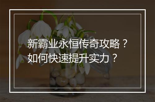 新霸业永恒传奇攻略？如何快速提升实力？