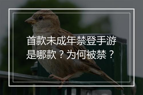 首款未成年禁登手游是哪款？为何被禁？