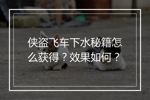 侠盗飞车下水秘籍怎么获得？效果如何？