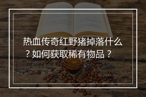 热血传奇红野猪掉落什么？如何获取稀有物品？