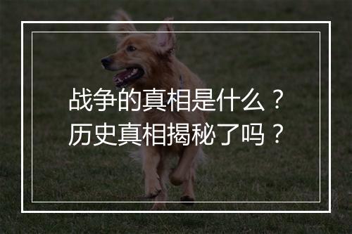 战争的真相是什么？历史真相揭秘了吗？