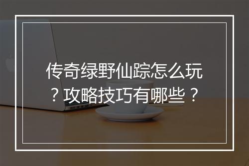 传奇绿野仙踪怎么玩？攻略技巧有哪些？