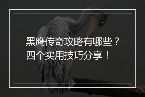 黑鹰传奇攻略有哪些？四个实用技巧分享！