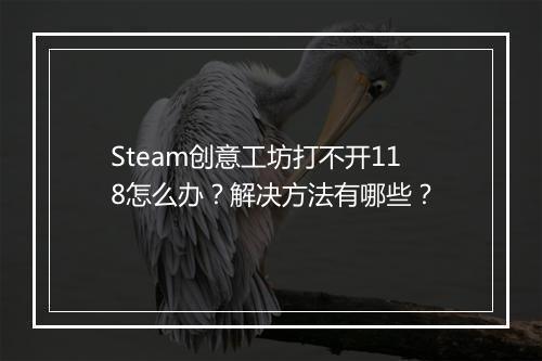Steam创意工坊打不开118怎么办？解决方法有哪些？