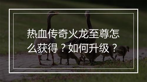 热血传奇火龙至尊怎么获得？如何升级？