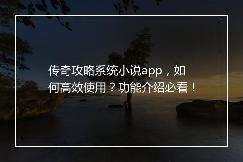 传奇攻略系统小说app，如何高效使用？功能介绍必看！