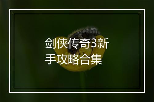 剑侠传奇3新手攻略合集