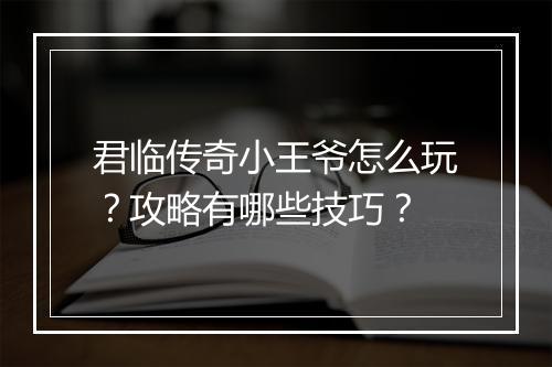 君临传奇小王爷怎么玩？攻略有哪些技巧？