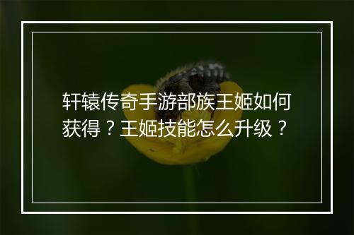 轩辕传奇手游部族王姬如何获得？王姬技能怎么升级？