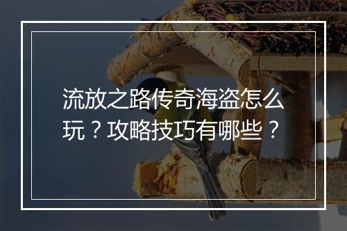 流放之路传奇海盗怎么玩？攻略技巧有哪些？