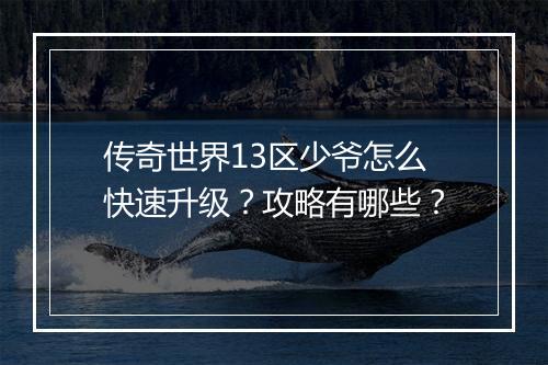传奇世界13区少爷怎么快速升级？攻略有哪些？