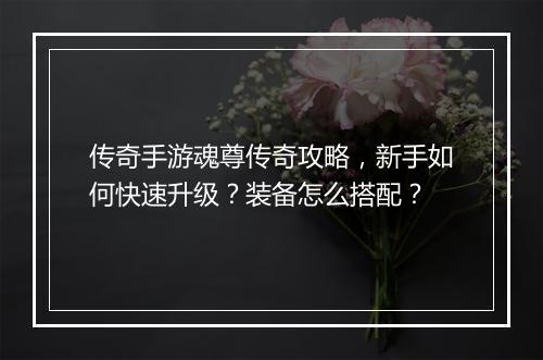 传奇手游魂尊传奇攻略，新手如何快速升级？装备怎么搭配？