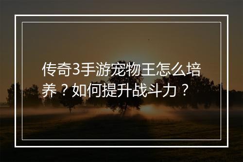 传奇3手游宠物王怎么培养？如何提升战斗力？
