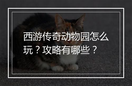 西游传奇动物园怎么玩？攻略有哪些？