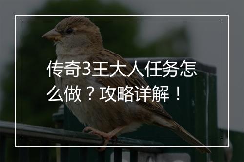 传奇3王大人任务怎么做？攻略详解！