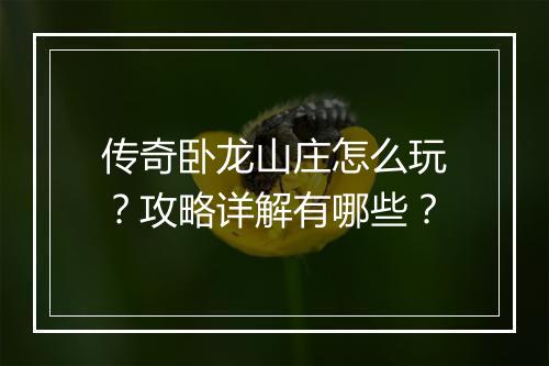 传奇卧龙山庄怎么玩？攻略详解有哪些？