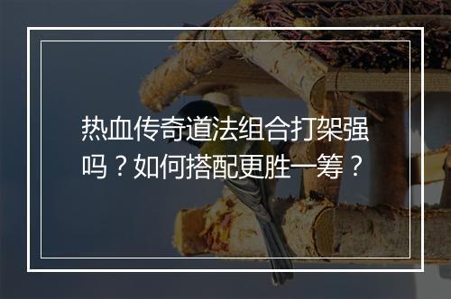 热血传奇道法组合打架强吗？如何搭配更胜一筹？
